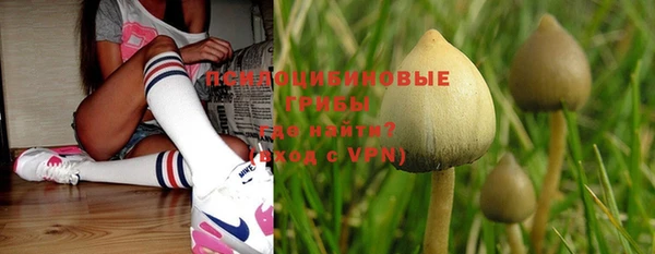 мескалин Богданович