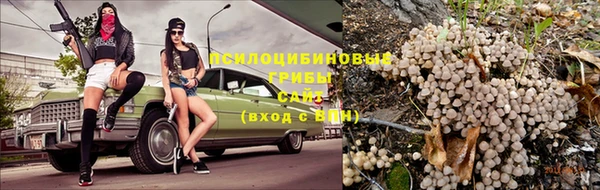 мескалин Богданович