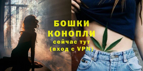 МДПВ Краснослободск