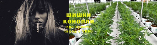 кокс Богородицк