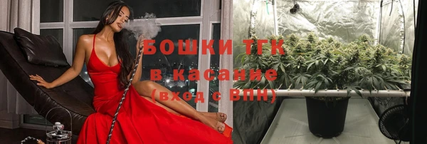 кокс Богородицк